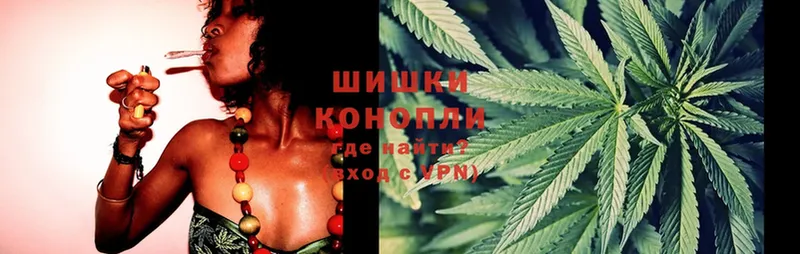 Канабис SATIVA & INDICA  Болотное 